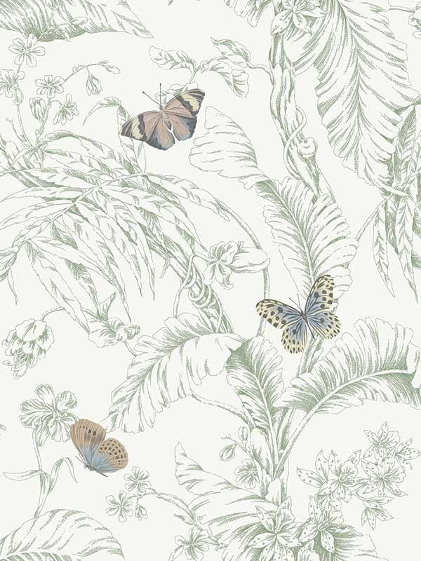 Papillon fabric in blush color - pattern number RT7930 - by York in the Toiles Resource Library collection