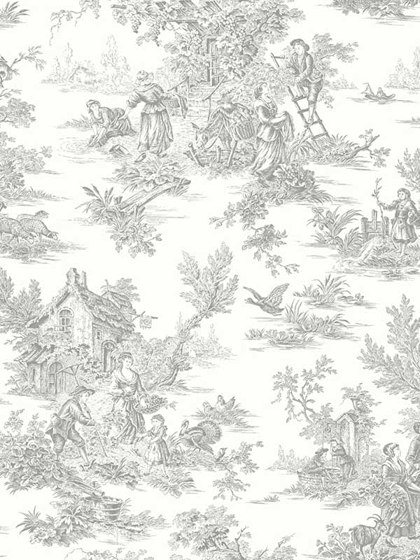 Campagne Toile fabric in grey color - pattern number RT7940 - by York in the Toiles Resource Library collection