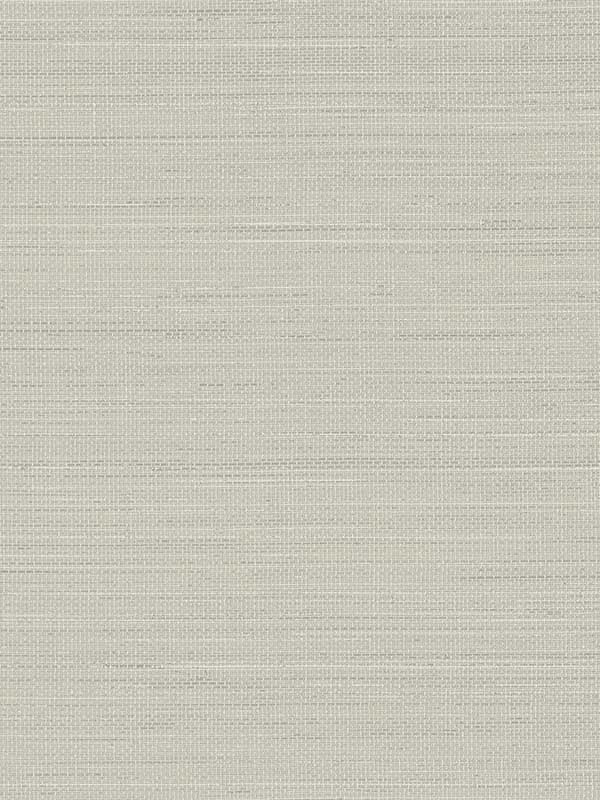 Spinnaker Netting fabric in charcoal color - pattern number 3125-72368 - by Chesapeake in the Kinfolk collection