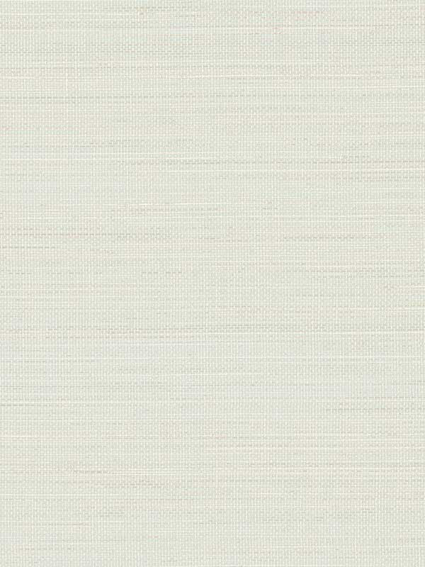 Spinnaker Netting fabric in seafoam color - pattern number 3125-72369 - by Chesapeake in the Kinfolk collection