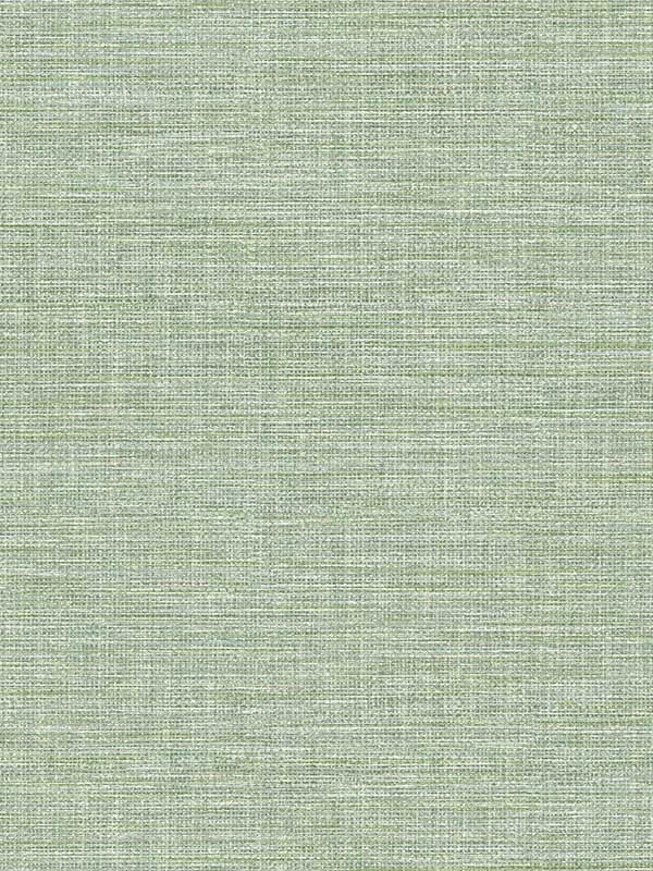 Exhale Faux Grasscloth wallpaper in light green color - pattern number 4157-26457 - by Advantage in the Curio Advantage collection