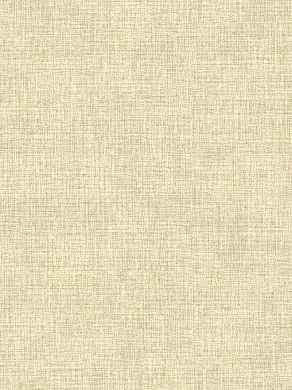 Buxton Faux Weave fabric in taupe color - pattern number 4144-9120 - by Advantage in the Perfect Plains collection