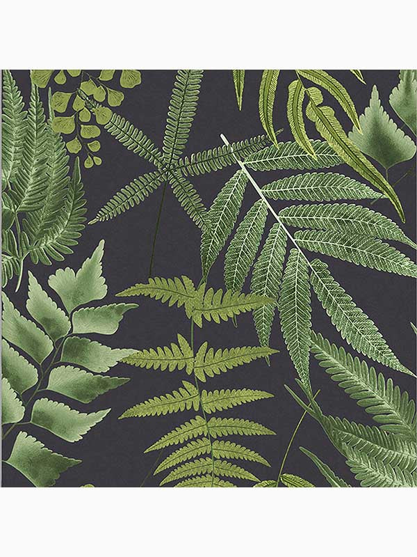 Midsummer Fern Tropical Leaves wallpaper in black and green color - pattern number 107879 - by Graham and Brown in the Graham and Brown Collection collection