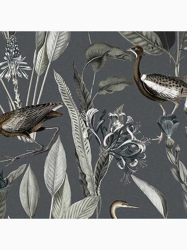 Glasshouse Birds Tropical fabric in midnight dark grey color - pattern number 111718 - by Graham and Brown in the Graham and Brown Collection collection
