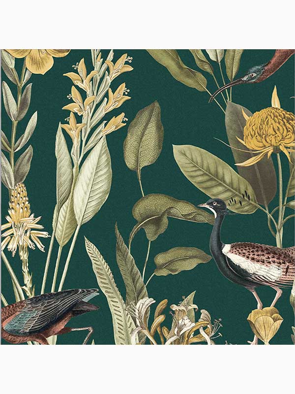 Glasshouse Birds Tropical fabric in green color - pattern number 111719 - by Graham and Brown in the Graham and Brown Collection collection