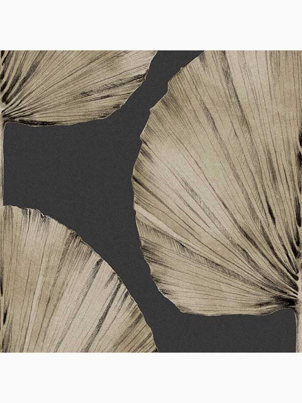 Palm Fan Leaves Tropical wallpaper in charcoal dark grey color - pattern number 112194 - by Graham and Brown in the Graham and Brown Collection collection