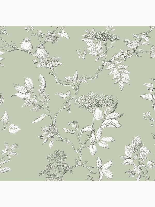 Elderwood fabric in sage color - pattern number 113348 - by Laura Ashley in the Laura Ashley Collection collection