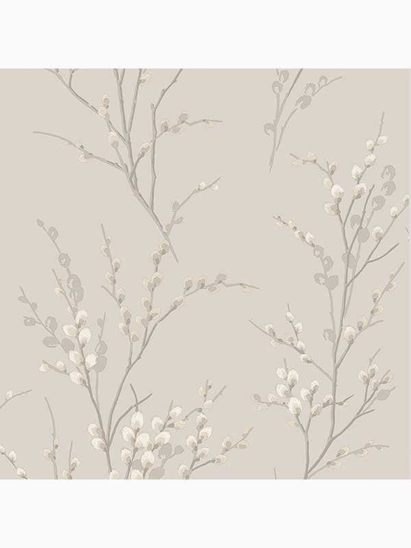 Pussy Willow fabric in dove grey color - pattern number 113361 - by Laura Ashley in the Laura Ashley Collection collection