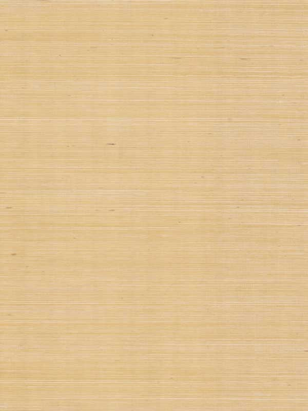 Maguey Sisal fabric in gold color - pattern number GV0111NW - by Ronald Redding in the Grasscloth and Natural Resource collection