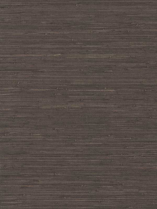 Knotted Grass fabric in brown color - pattern number VG4437GV - by Ronald Redding in the Grasscloth and Natural Resource collection