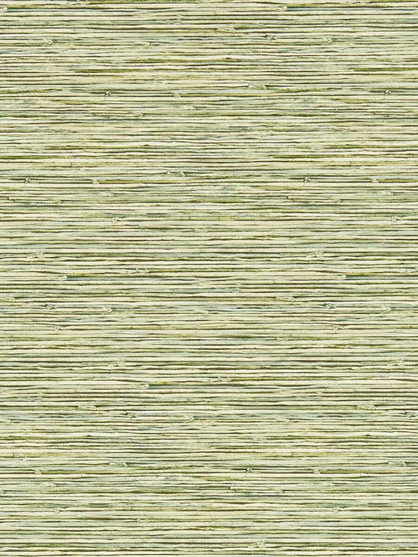 Xan fabric in palm color - pattern number W0192/04.CAC.0 - by Clarke and Clarke in the Breegan Jane Wallcoverings collection