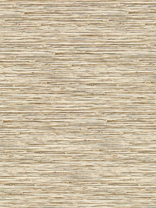 Xan fabric in sahara color - pattern number W0192/06.CAC.0 - by Clarke and Clarke in the Breegan Jane Wallcoverings collection