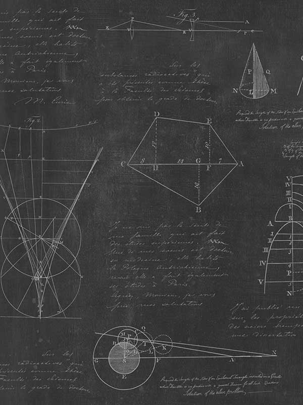 Newton Geometry fabric in charcoal black and white color - pattern number WP20046 - by Mind the Gap in the Designer Collection I collection