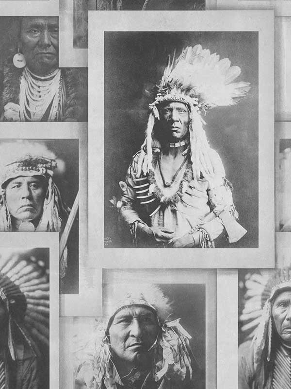 Indian Chiefs fabric in black and white grey color - pattern number WP20072 - by Mind the Gap in the Designer Collection I collection
