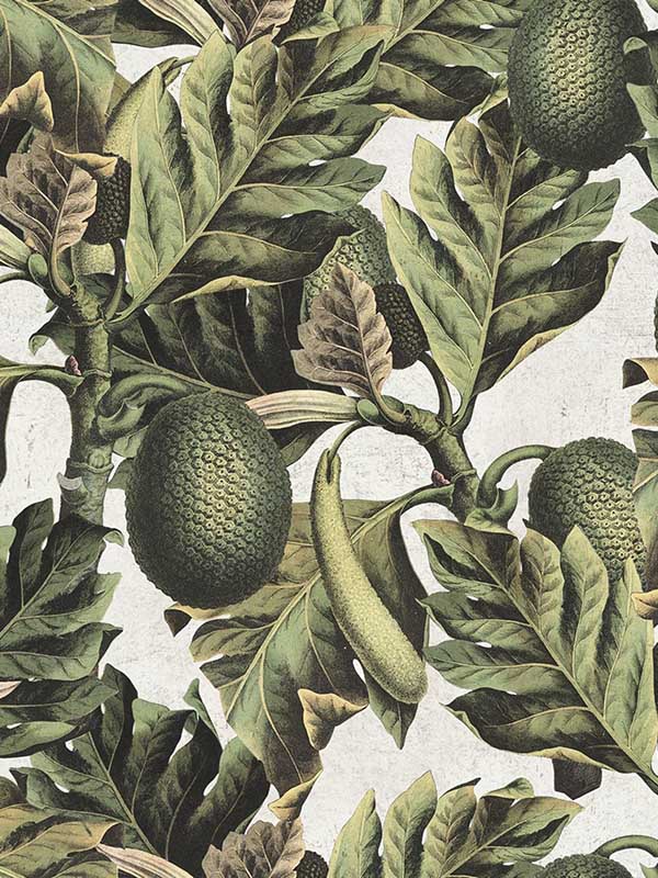 Exotic Fruit I wallpaper in green yellow color - pattern number WP20097 - by Mind the Gap in the Designer Collection I collection