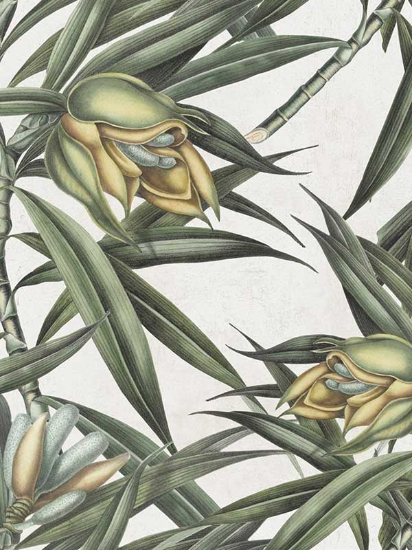 Exotic Fruit II wallpaper in green yellow color - pattern number WP20098 - by Mind the Gap in the Designer Collection I collection