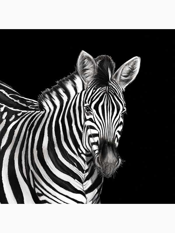 Zebra 3 Panel fabric in lucia color - pattern number TCW001TCAI5UZ005 - by Seabrook in the Dolce and Gabbana Casa N 1 collection