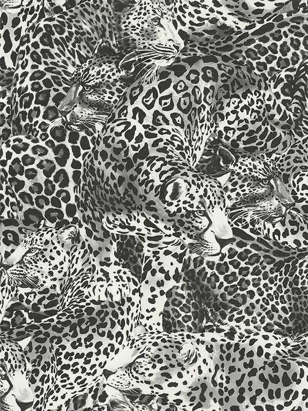 Leopardo Incognito fabric in alessandra color - pattern number TCW007TCAHOUL030 - by Seabrook in the Dolce and Gabbana Casa N 1 collection
