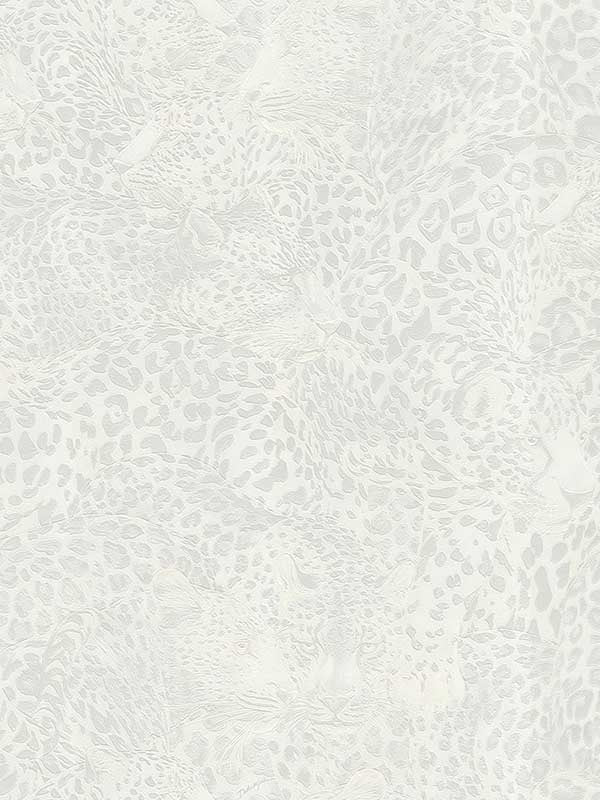 Leopardo Incognito fabric in tigre color - pattern number TCW007TCAHOUL041 - by Seabrook in the Dolce and Gabbana Casa N 1 collection