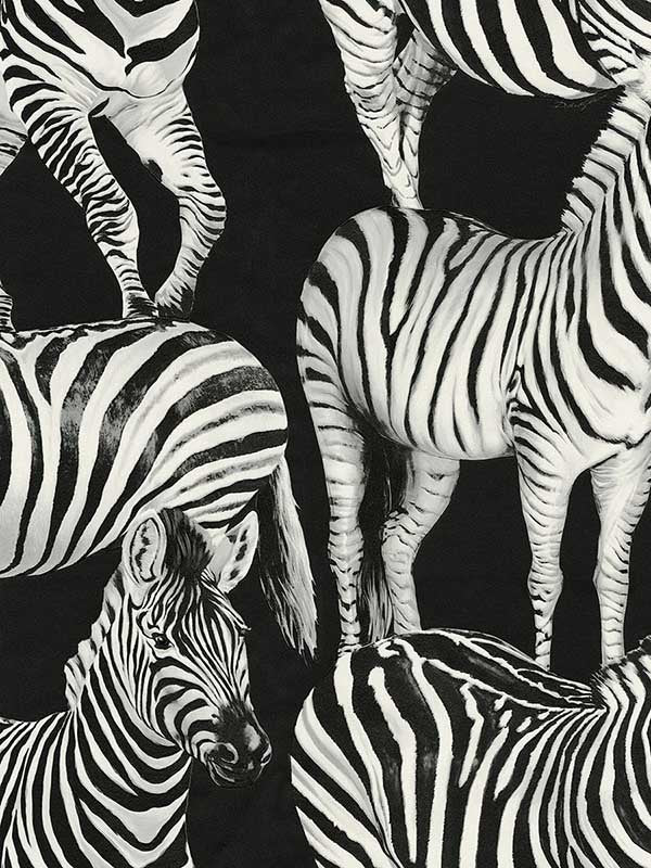 Zebra Romance fabric in contrasto color - pattern number TCW007TCAHOUZ011 - by Seabrook in the Dolce and Gabbana Casa N 1 collection