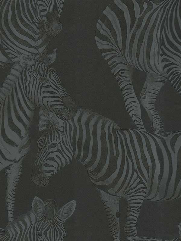 Zebra Romance fabric in misterioso color - pattern number TCW007TCAHOUZ018 - by Seabrook in the Dolce and Gabbana Casa N 1 collection