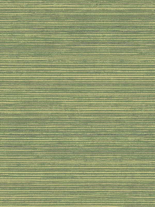 Imitation Grasscloth fabric in shades of green color - pattern number G45522 - by Patton Norwall in the Natural FX 2 collection
