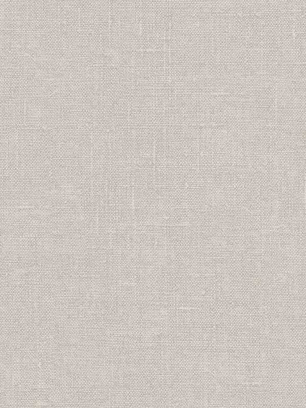 Hessian fabric in taupe color - pattern number G67434 - by Patton Norwall in the Natural FX 2 collection
