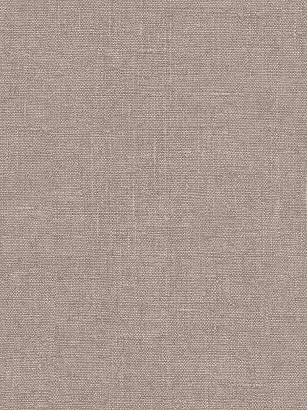 Hessian fabric in brown color - pattern number G67435 - by Patton Norwall in the Natural FX 2 collection