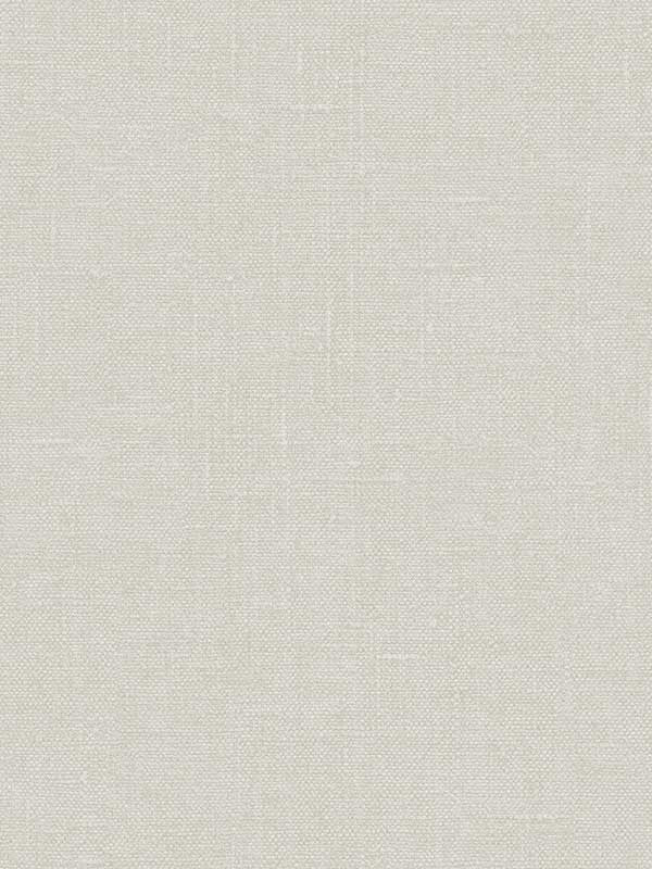 Hessian fabric in putty color - pattern number G67436 - by Patton Norwall in the Natural FX 2 collection