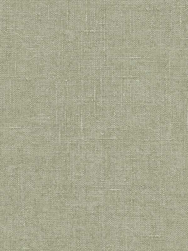 Hessian fabric in sage green color - pattern number G67437 - by Patton Norwall in the Natural FX 2 collection
