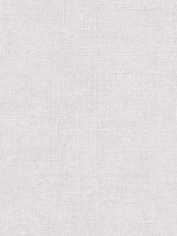 Hessian fabric in metallic pale grey color - pattern number G67441 - by Patton Norwall in the Natural FX 2 collection