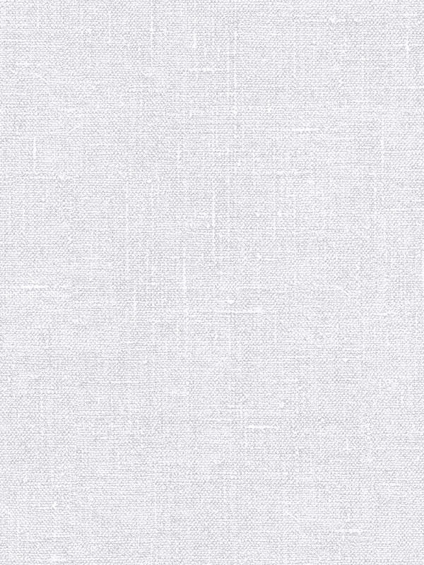 Hessian fabric in metallic light grey color - pattern number G67444 - by Patton Norwall in the Natural FX 2 collection