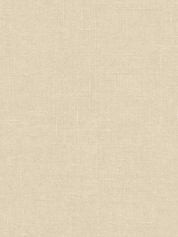 Hessian fabric in beige color - pattern number G67445 - by Patton Norwall in the Natural FX 2 collection