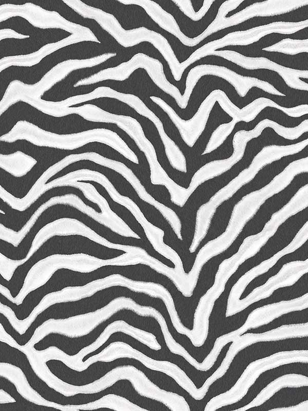 Zebra Print fabric in black and white color - pattern number G67491 - by Patton Norwall in the Natural FX 2 collection