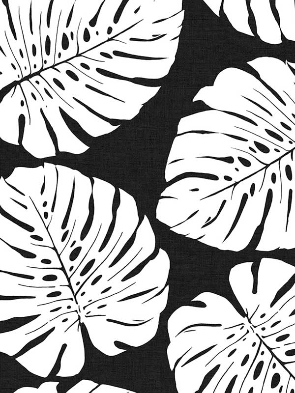 Monstera Leaf Peel and Stick fabric in shadow color - pattern number HG10500 - by NextWall in the Peel and Stick Wallpaper by Harry and Grace 3 collection