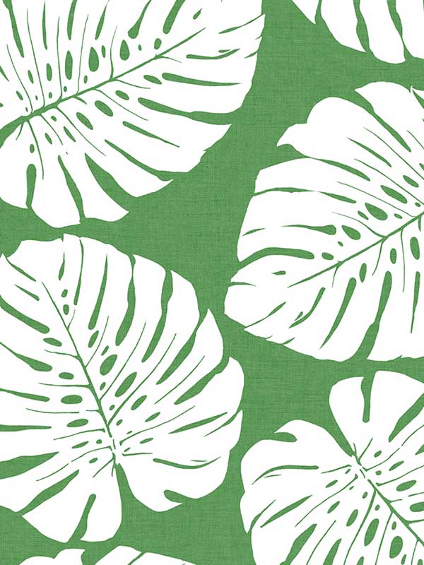 Monstera Leaf Peel and Stick fabric in green color - pattern number HG10504 - by NextWall in the Peel and Stick Wallpaper by Harry and Grace 3 collection