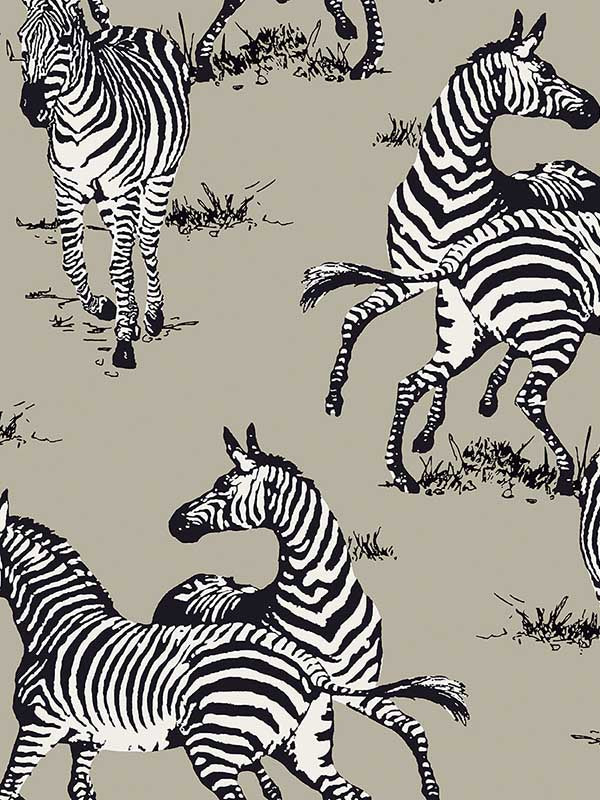 Playful Zebras Peel and Stick fabric in pavestone color - pattern number HG11110 - by NextWall in the Peel and Stick Wallpaper by Harry and Grace 3 collection