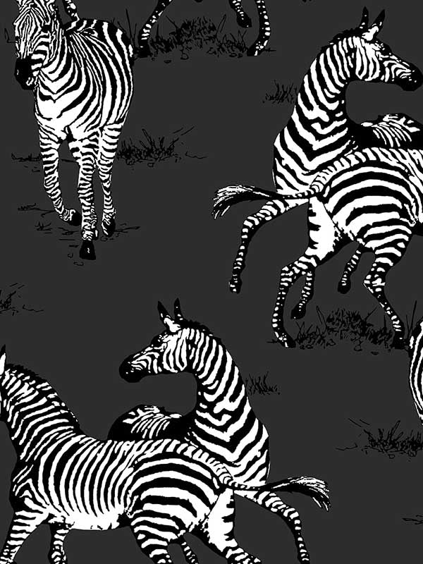 Playful Zebras Peel and Stick fabric in charcoal color - pattern number HG11120 - by NextWall in the Peel and Stick Wallpaper by Harry and Grace 3 collection