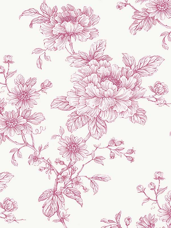 Sketched Floral Peel and Stick wallpaper in pink color - pattern number NW55701 - by NextWall in the Peel and Stick Wallpaper by Nextwall collection