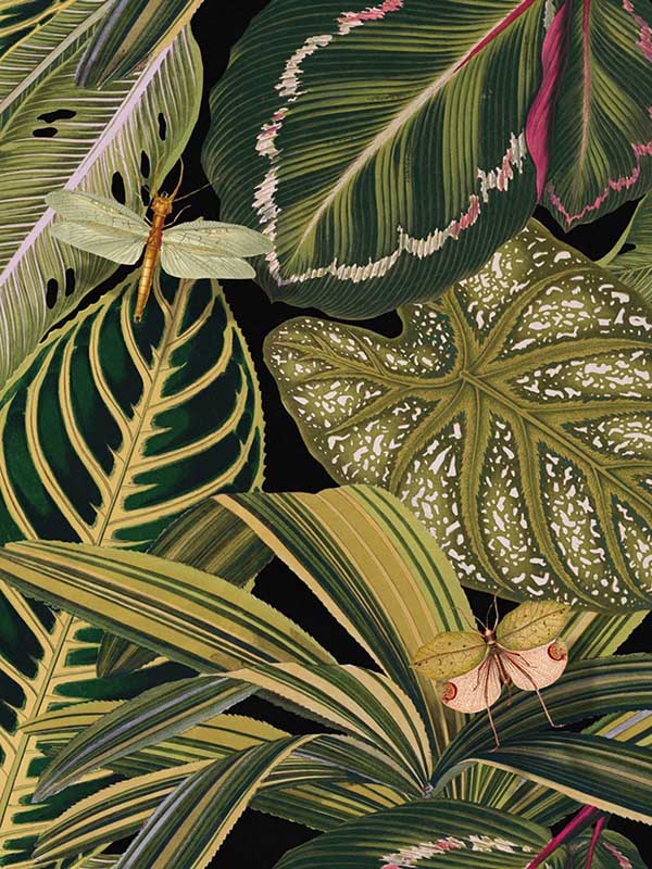 Amazonia fabric in green black color - pattern number WP20159 - by Mind the Gap in the Designer Collection II collection