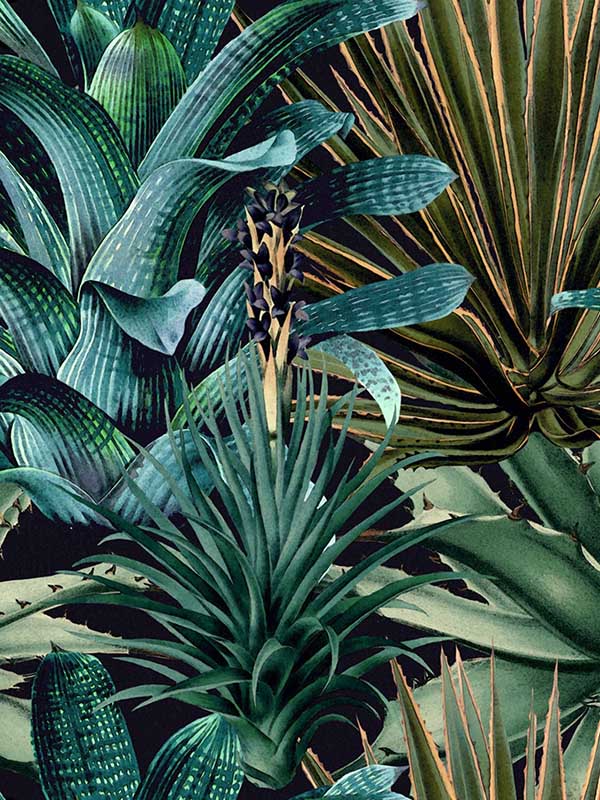 Lush Succulents fabric in green black color - pattern number WP20164 - by Mind the Gap in the Designer Collection II collection