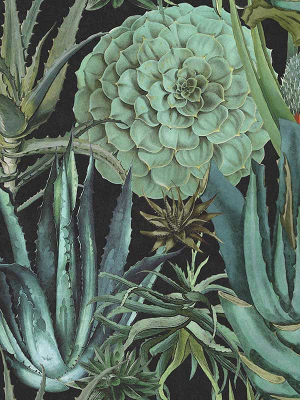 Succulentus wallpaper in green anthracite color - pattern number WP20167 - by Mind the Gap in the Designer Collection II collection