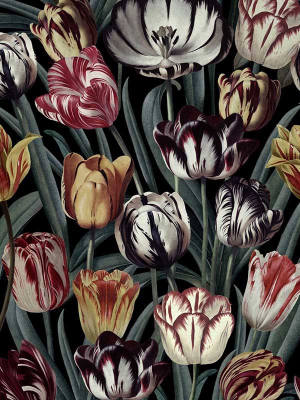 Tulipa fabric in dark green yellow red black color - pattern number WP20177 - by Mind the Gap in the Designer Collection II collection