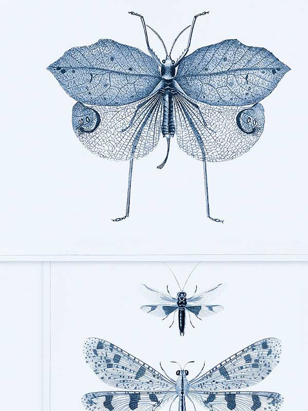 Entomology fabric in blue taupe color - pattern number WP20235 - by Mind the Gap in the Designer Collection II collection