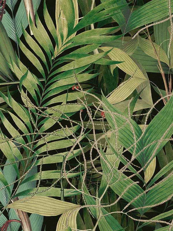 Exotic Garden wallpaper in green black color - pattern number WP20515 - by Mind the Gap in the Compendium collection