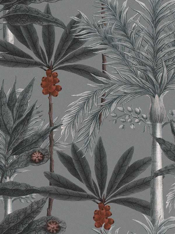 Madagascar wallpaper in grey color - pattern number WP20519 - by Mind the Gap in the Compendium collection