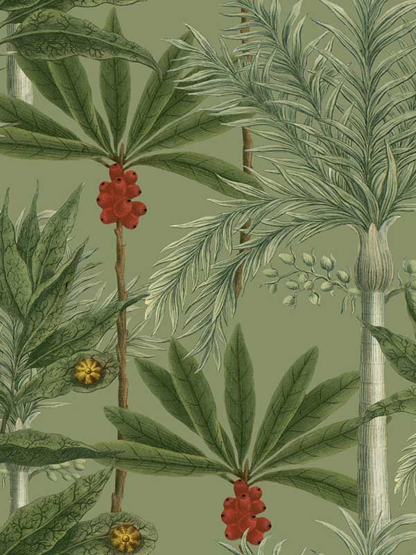 Madagascar wallpaper in green red color - pattern number WP20520 - by Mind the Gap in the Compendium collection