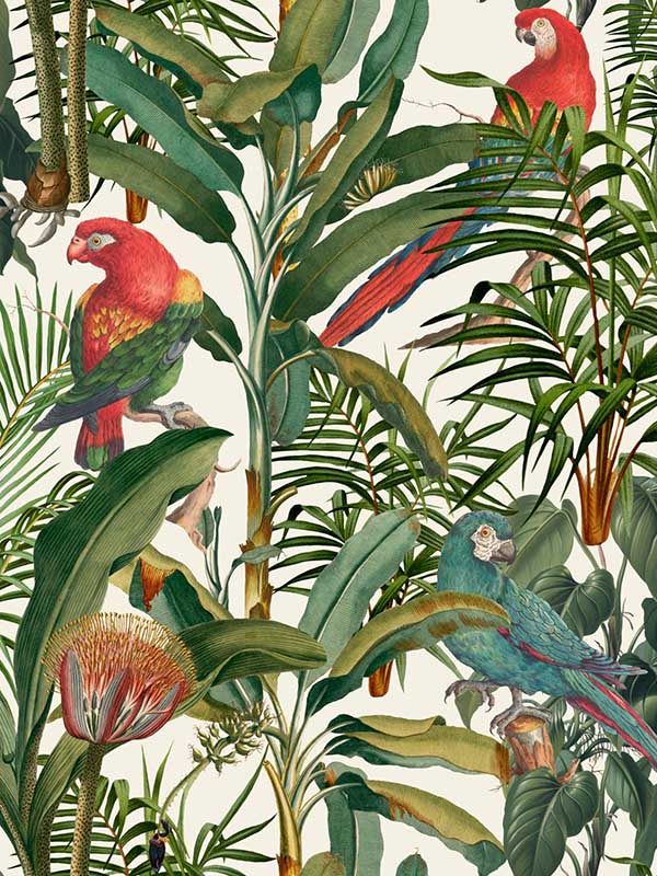 Parrots Of Brasil fabric in green taupe red color - pattern number WP20521 - by Mind the Gap in the Compendium collection