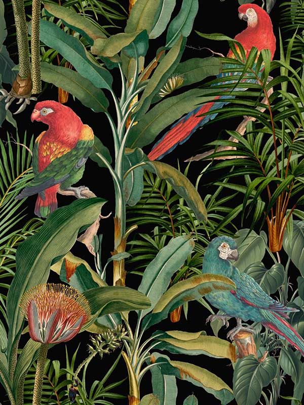 Parrots Of Brasil fabric in anthracite color - pattern number WP20522 - by Mind the Gap in the Compendium collection