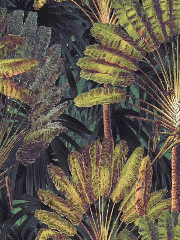 Travellers Palm wallpaper in sunset color - pattern number WP20526 - by Mind the Gap in the Compendium collection